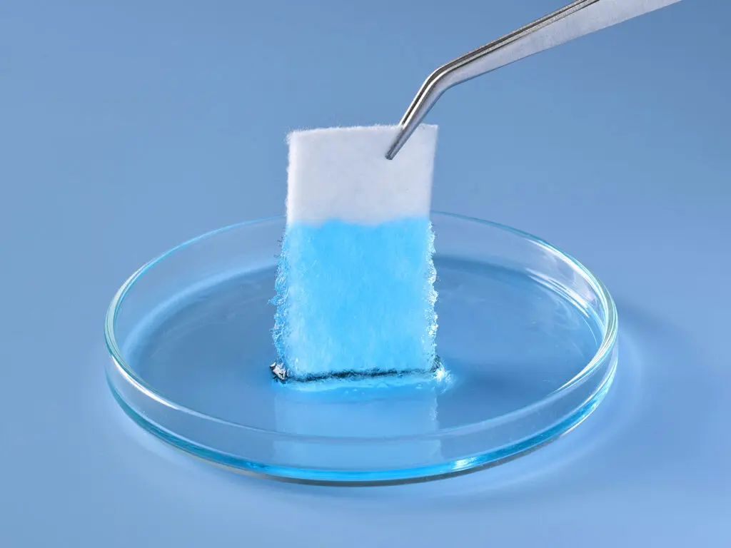 Super Absorbent Dipped in Petri Dish