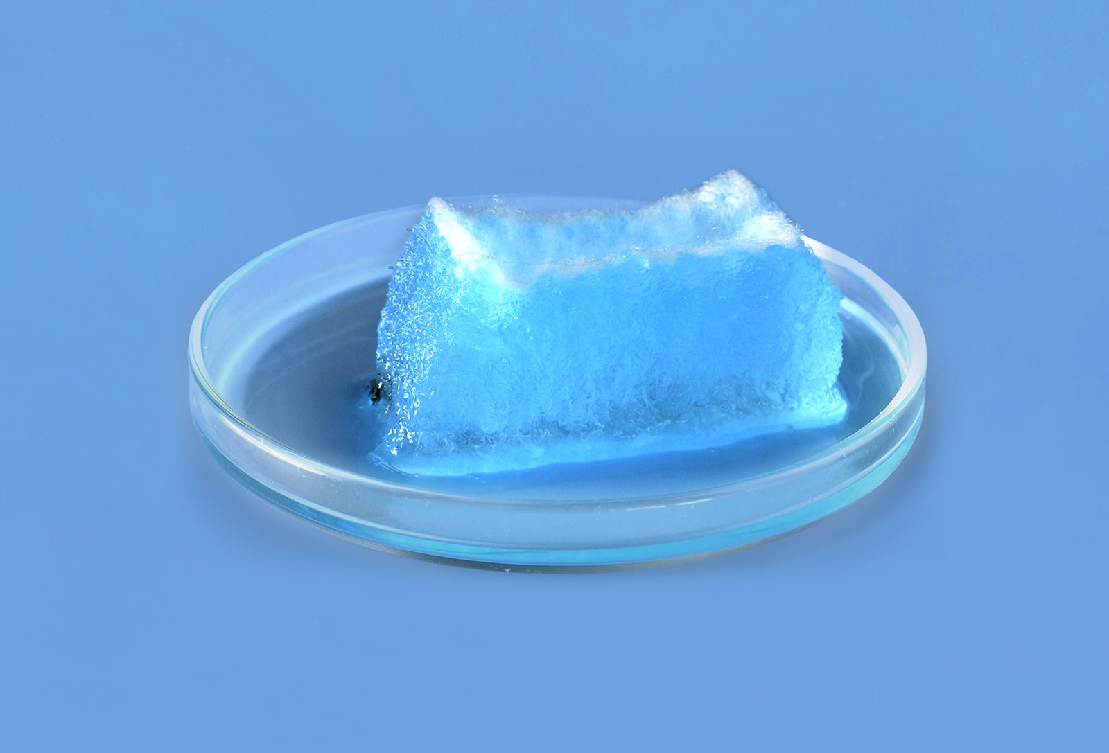 Superabsorbent in petri dish