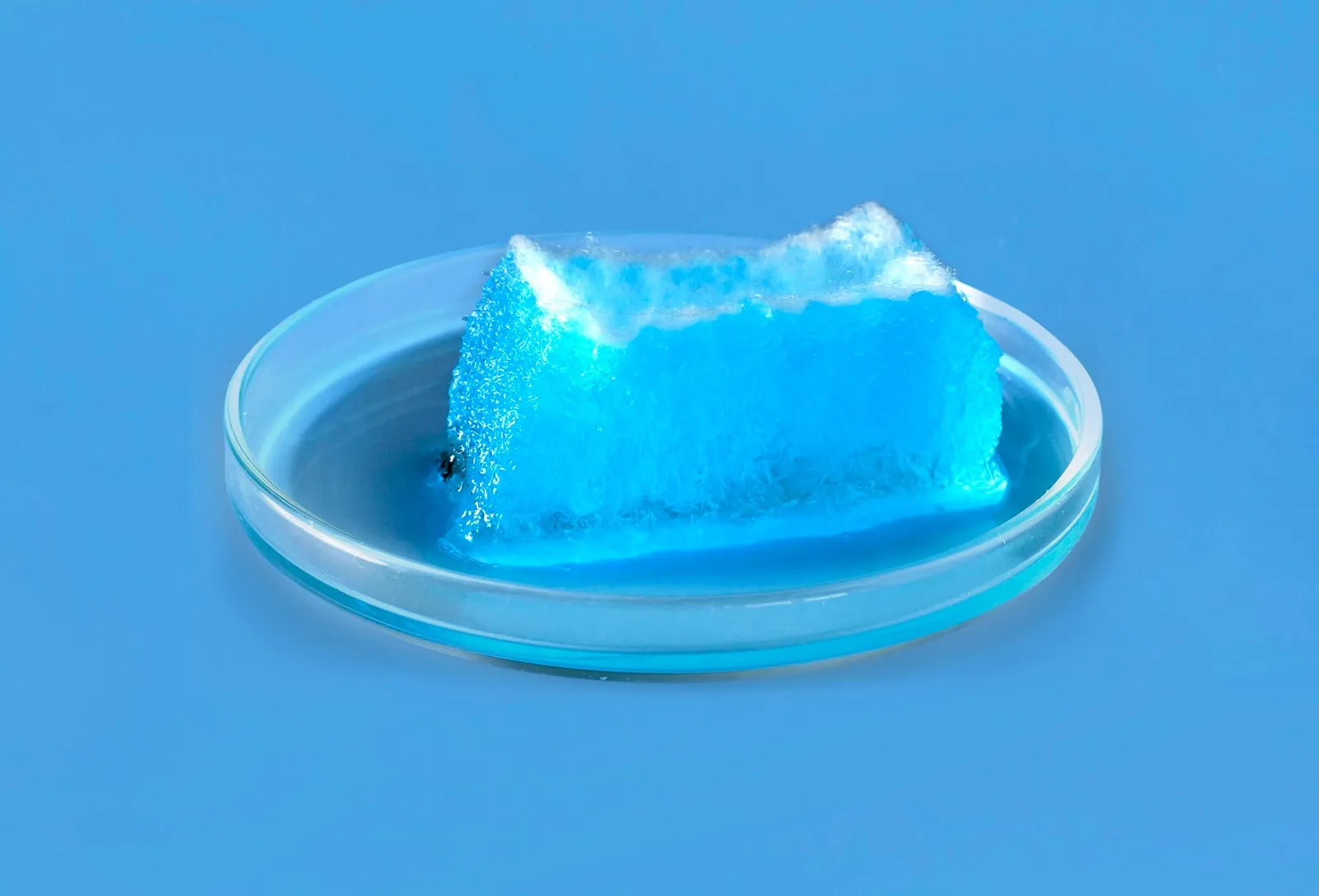 Superabsorbent in petri dish